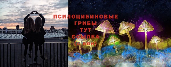 mdpv Анжеро-Судженск