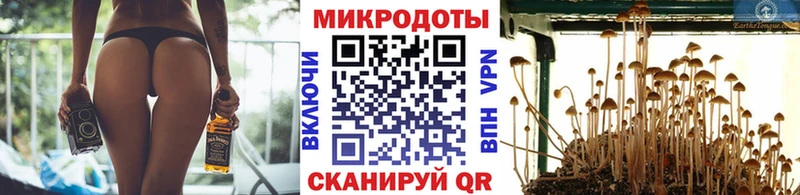 Купить закладки  Донецк  Галлюциногенные грибы ЛСД 